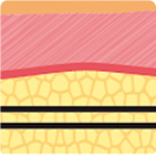 从第一代到第四代逐步升级的线雕结构